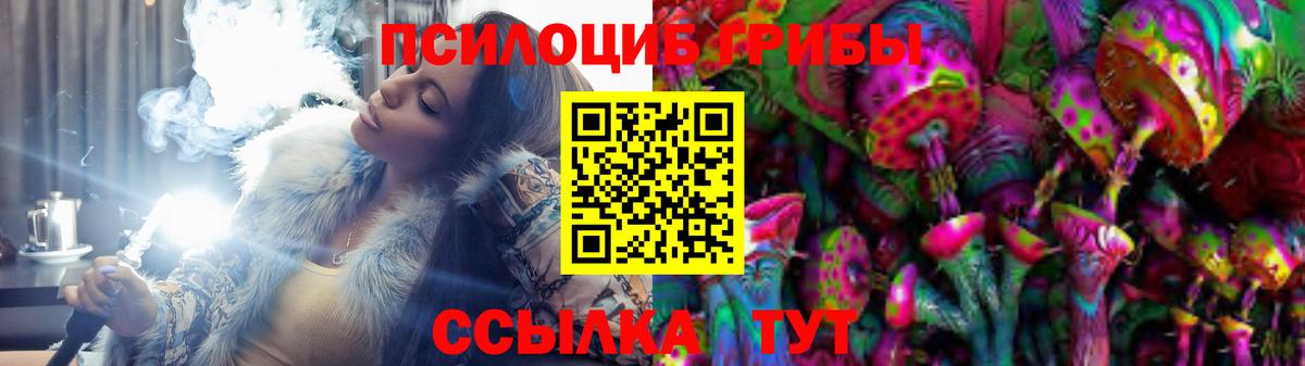 Галлюциногенные грибы Psilocybine cubensis Луховицы